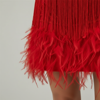 Robe de cocktail à franges, plumes, paillettes, mini, sans manches pour femmes